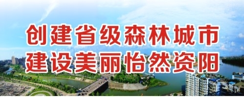 肏嫰逼免费视频创建省级森林城市 建设美丽怡然资阳